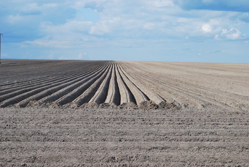 Inliny Flaeming Arena Německo_7.-10.5.2015 (15)